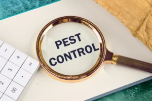 routine pest control featured image